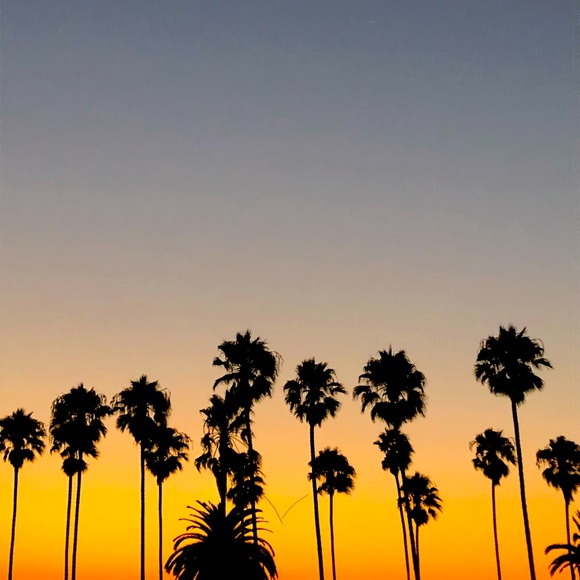 Meet your Posher, L - Picture 1 of 1